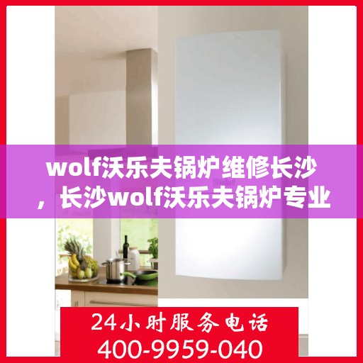 wolf沃乐夫锅炉维修长沙，长沙wolf沃乐夫锅炉专业维修服务