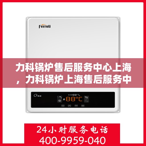 力科锅炉售后服务中心上海，力科锅炉上海售后服务中心，专业维修与优质服务同步进行